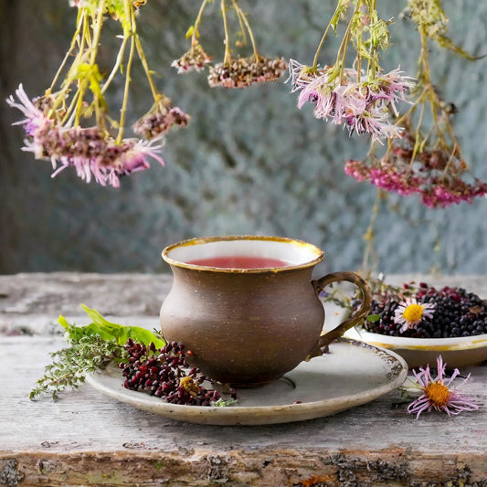 Elderberry Echinacea Wellness Tea